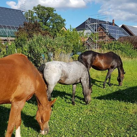 Ruhezone Leilighet Bremke  Eksteriør bilde