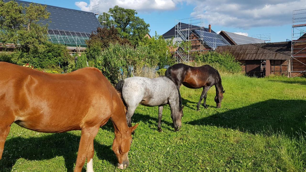 Ruhezone Leilighet Bremke  Eksteriør bilde